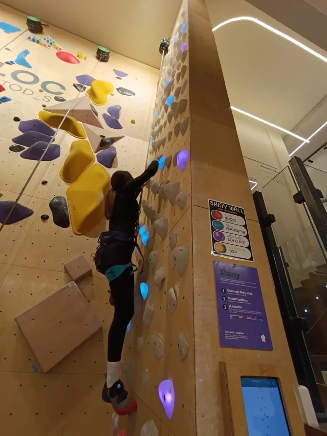 Pared de escalada a medida con cuerda · proyecto Shiny Wall Custom